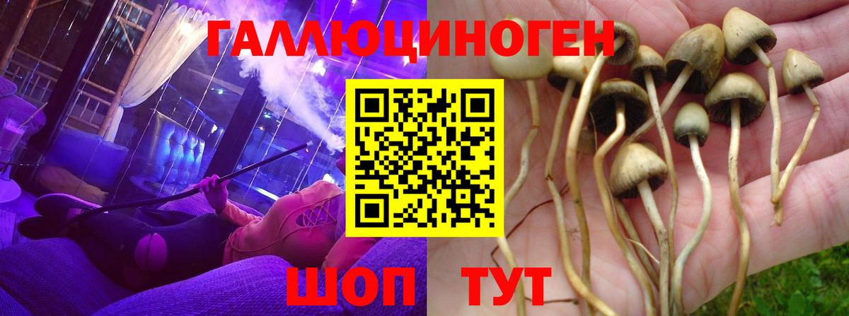Галлюциногенные грибы Cubensis Еманжелинск